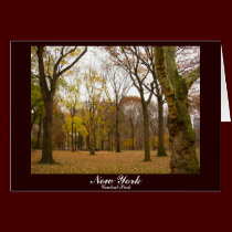 New York Card Central Park New York Souvenir Card