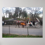 New York Central Park Horse Carrage Poster