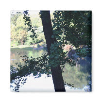 New York Central Park magnets by mmorgan23 New York Central Park magnets