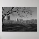 New York Central Park Winter Poster