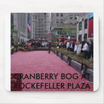 NEW YORK CITY 2007, CRANBERRY BOG AT ROCKEFELLE... mousepads