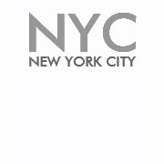 New York City Grey T-Shirt shirt