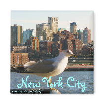 New York City magnet