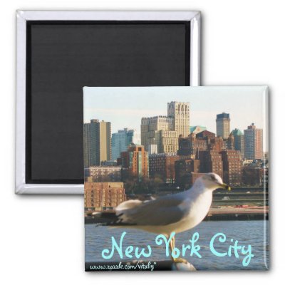 New York City magnet