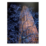 New York City Night Walk CricketDiane Post Cards