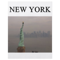 NEW YORK city statue of liberty flyers