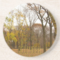 New York Coaster Central Park NY Souvenir Coaster coasters