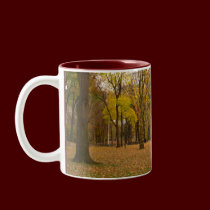 New York Cup Central Park New York Mug mugs