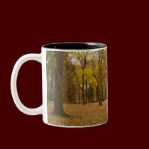 New York Cup Central Park New York Mug mugs