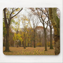 New York Mousepad Central Park New York Gifts mousepads