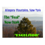 New York Postcard
