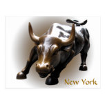 New York Postcard Bull Statue NYC Souvenir Card