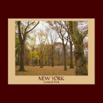 New York Postcard Central Park New York  Card postcards