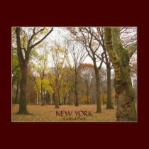 New York Postcard Central Park New York  Card postcards