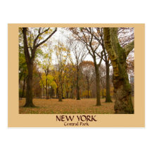New York Postcard Central Park New York  Card