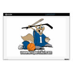 New York Sports Nut skins