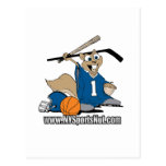 New York Sports Nut postcards