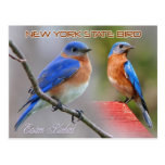 New York State Bird - Eastern Bluebird Postcard
