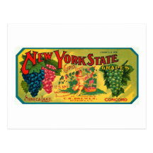 New York State Grapes Ad vintage label Postcard