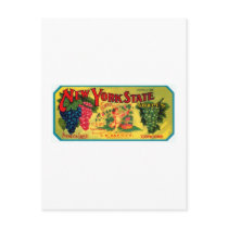 New York State Grapes postcards by AllVintage New York State Grapes postcards
