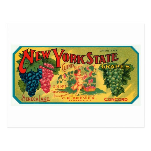 New York State Seneca Lake Grapes Vintage Crate La Post Cards