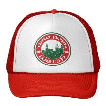 New York Welsh American Mesh Hat