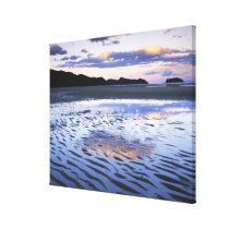 New Zealand, Abel Tasman National Park, Coast Stretched Canvas Print
