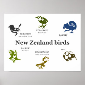 New Zealand Birds poster