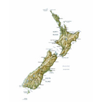 New Zealand Flag and Map T-Shirt
