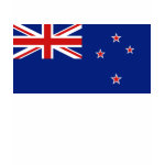New Zealand Flag Map Spaghetti Top