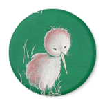 New Zealand Kiwi Bird magnets