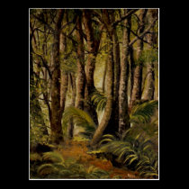 New Zealand native bush postcards