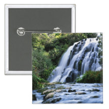 New Zealand, North Island, Karangahake Gorge, Button