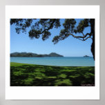 New Zealand - Northland Beach Posters