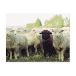 individuality, horizontal, outdoors, rural scene,