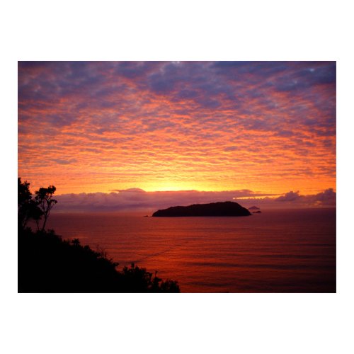 New Zealand Posters print