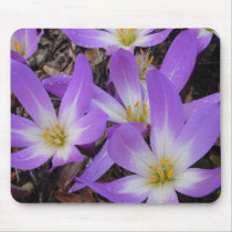 New Zealand Purple Wildflowers mousepads