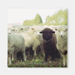 New Zealand Refrigerator Magnet