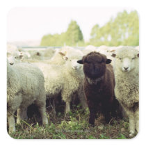 New Zealand Sticker