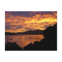 New Zealand Sunset Postcards