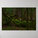 New Zealand: The Road to Milford Sound posters
