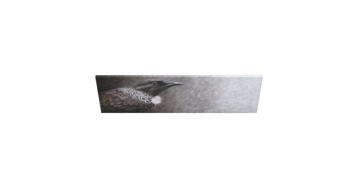 New Zealand Tui Canvas Print Zazzle