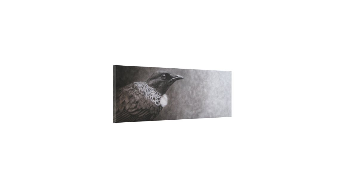 New Zealand Tui Canvas Print Zazzle