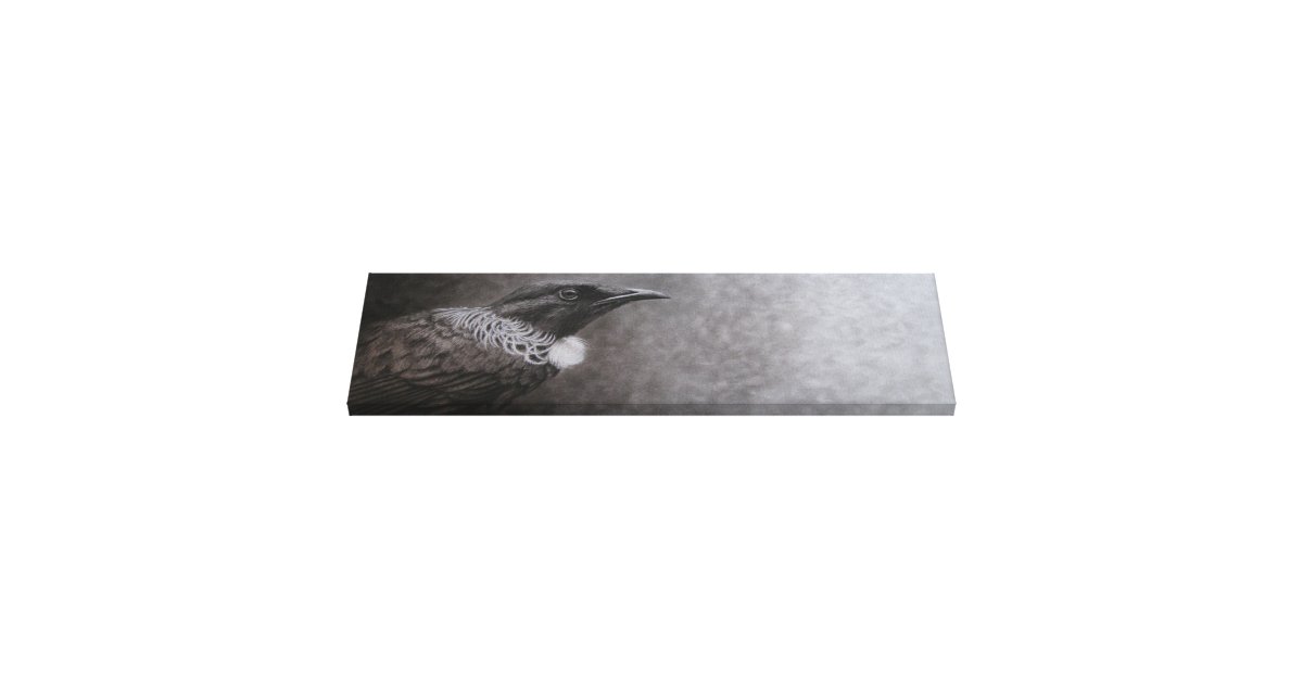 New Zealand Tui Canvas Print Zazzle
