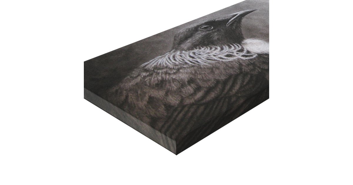 New Zealand Tui Canvas Print Zazzle
