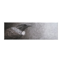New Zealand Tui canvas prints