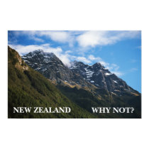 NEW ZEALAND, WHY NOT? posters
