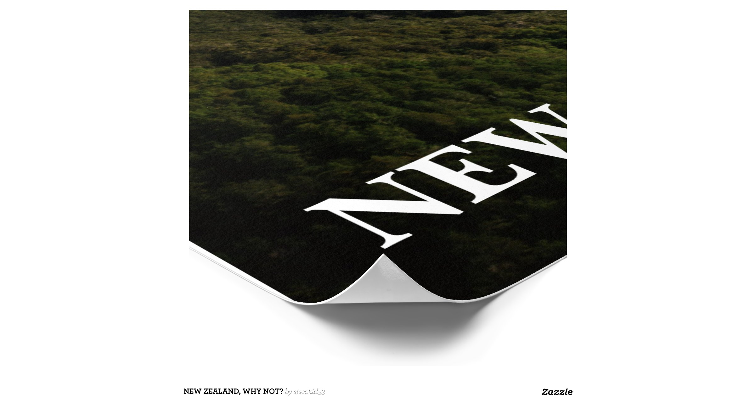 new_zealand_why_not_posterr7563a0130fd04fbaaf2d789f3e714ce4_23yc5