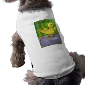Newborn Chick petshirt