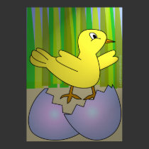 Newborn Chick posters